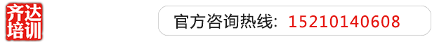 爆肏淫茓骚屄在线齐达艺考文化课-艺术生文化课,艺术类文化课,艺考生文化课logo